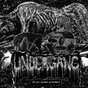 Undergang – De syv stadier af ford​æ​rv MLP