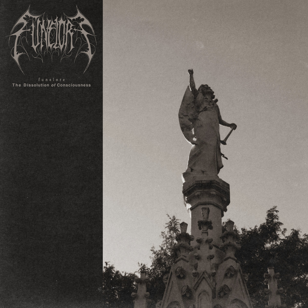 Funerole - Dissolution Of Consciousness 12''