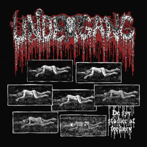 Undergang – De syv stadier af ford​æ​rv MLP