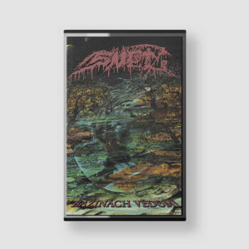 Sněť - V Bažinách Vědomí (Cassette)