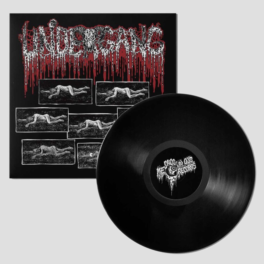 Undergang – De syv stadier af ford​æ​rv MLP (Third press)